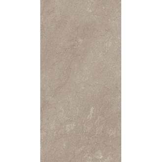 AEM02 Элемента Серый Неполированный Рект 60x120x9