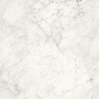 AE CAL6 120 LP 120x120