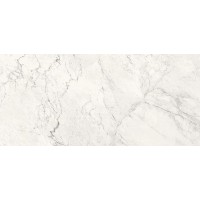 AE CAL6 260 LP 120x260