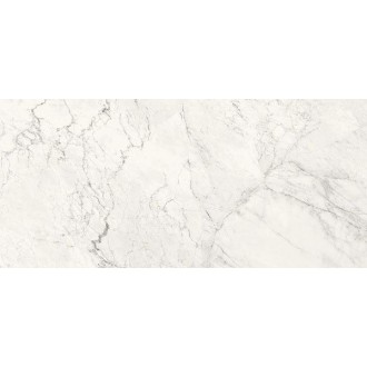 AE CAL6 260 LP 120x260