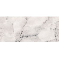 AE CAM6 278 LPM 120x278