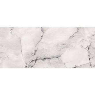 AE CAM6 278 LPM 120x278