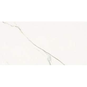 AE EXT6 12 LP 60x120