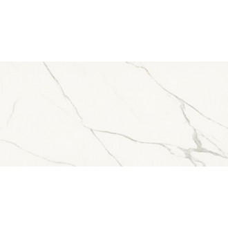 AE EXT6 260 LP 120x260