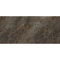 AE GOL6 260 LP 120x260