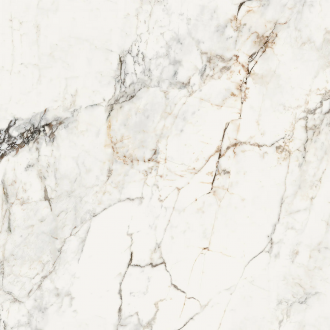 AE PAO6 120 LP 120x120