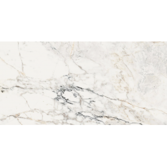 AE PAO6 12 LP 60x120