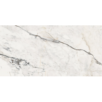 AE PAO6 12 RM 60x120