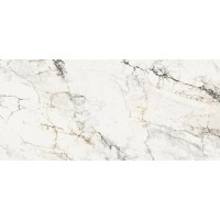 AE PAO6 260 LP 120x260