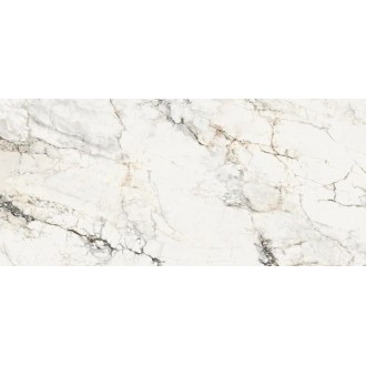 AE PAO6 260 LP 260x120
