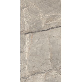 AGB2 Amazing Silver Matt 60x120