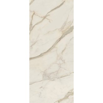 AGCJ GOLDEN WHITE Luc 120x278