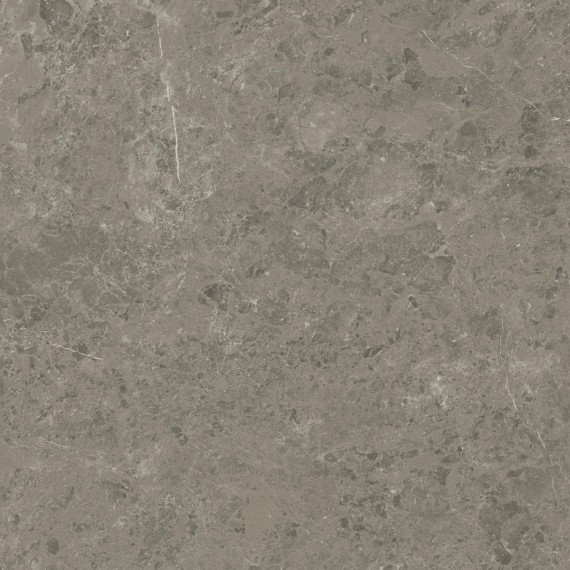 Керамогранит AJIF Marvel Meraviglia Grigio Elegante Lapp. 120x120