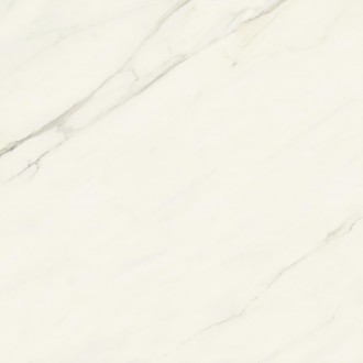 AJII Marvel Meraviglia Calacatta Meraviglia Velvet 120x120