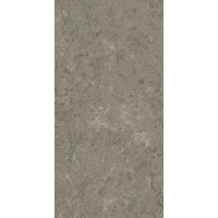AJIU Marvel Meraviglia Grigio Elegante Matt 60x120