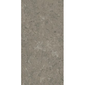 AJIU Marvel Meraviglia Grigio Elegante Matt 60x120