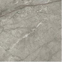 AJJC Marvel Meraviglia Silver Majestic Matt 60x60