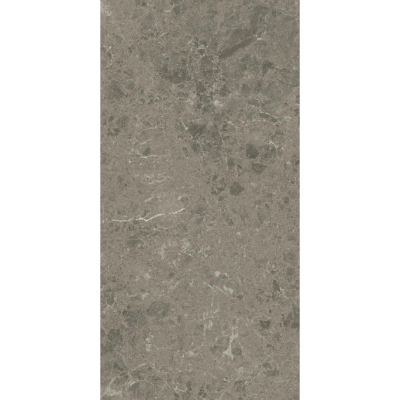 Керамогранит AJJI Marvel Meraviglia Grigio Elegante Lapp. 30x60