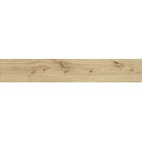 AO47 Exence Vanilla 120x20