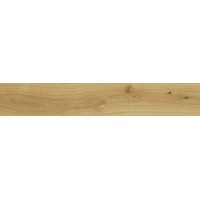 AO48 Exence Almond 120x20