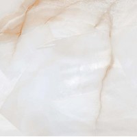 ARISTON Onyx Sugar 60x60