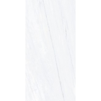 AU612NTT9801P Aurora 60x120