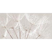 AV2L091DT Avangarde вставка серый 29,8x59,8