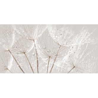 AV2L091DT Avangarde вставка серый 29,8x59,8