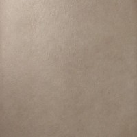 AW9F Dwell Greige 60x60 Lap.