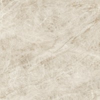 AX8Q Керамогранит Marvel Diva Taj Mahal Velvet 120x120