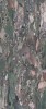 AXA2 Four Seasons WA 13 LUC SQ 120х278