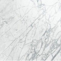 AY2T Marvel Statuario Select Lappato 120x120