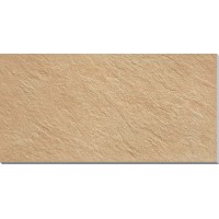 AY4E Trust Gold 60x120 LASTRA 20mm
