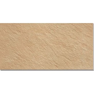 AY4E Trust Gold 60x120 LASTRA 20mm