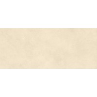 AYR6 Плитка Boost Expression Shell Matte 50x120