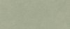 AYR7 Плитка Boost Expression Olive Matte 50x120