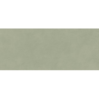 AYR7 Плитка Boost Expression Olive Matte 50x120