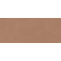 AYR9 Плитка Boost Expression Sienna Matte 50x120