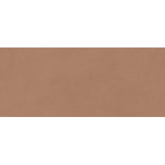 AYR9 Плитка Boost Expression Sienna Matte 50x120