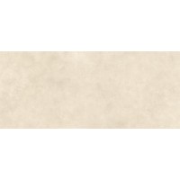 AYSH Керамогранит Boost Expression Shell Matte 6mm 120x278