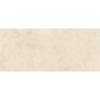 AYSH Керамогранит Boost Expression Shell Matte 6mm 120x278