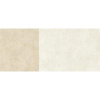 AYSN Керамогранит Boost Expression Duo Camel 6mm 120x278