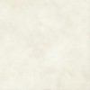 AYT7 Керамогранит Boost Expression Glow Matte 120x120