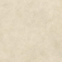 AYT9 Керамогранит Boost Expression Camel Matte 120x120