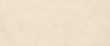 AYTU Плитка Boost Expression Grain Shell Matte 50x120