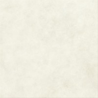 AYUQ Керамогранит Boost Expression Glow Grip 120x120