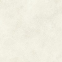 AYVN Керамогранит Boost Expression Glow Matte 60x60