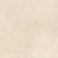 AYVO Керамогранит Boost Expression Shell Matte 60x60