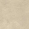 AYVQ Керамогранит Boost Expression Tan Matte 60x60