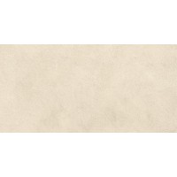 AYVV Керамогранит Boost Expression Shell Matte 30x60